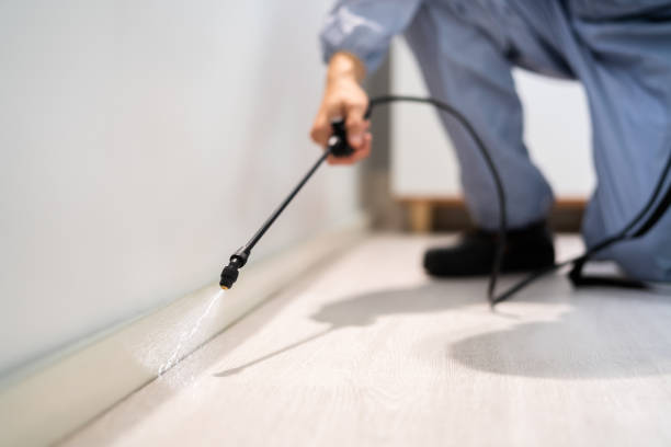 Licensed Pest Control service in Orion, IL - Show Me Pest Control