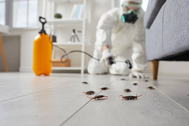 Post-Treatment Bed Bug Interceptor Monitoring in Orion